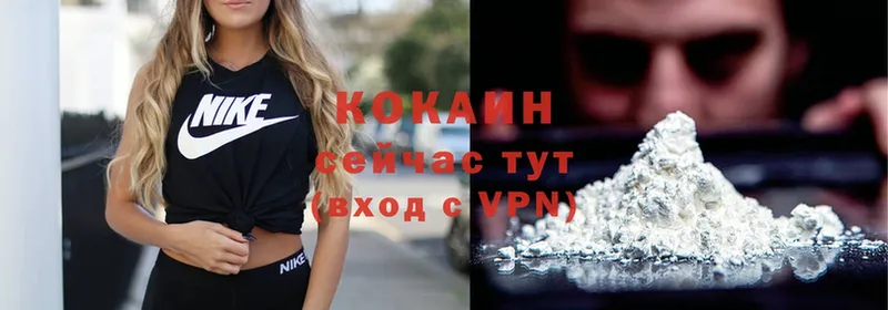 Кокаин Fish Scale  mega как зайти  Богучар 